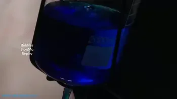 Bee Over the Barrel 1 of 2