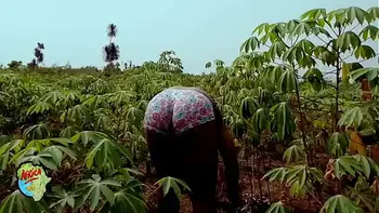 Just by the stream, I escaped my fans to have my pussy fingered till I squirt