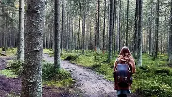 Get lost in Wonderlands