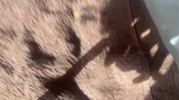 My stepmother came into my room and told me to fuck her in the anal. She had a soft, hairy anus and a big white ass.