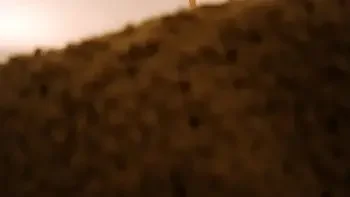 I walked in on my Stepmom Maturbating and this happened (POV)