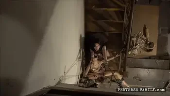 PF - Surprise for the house