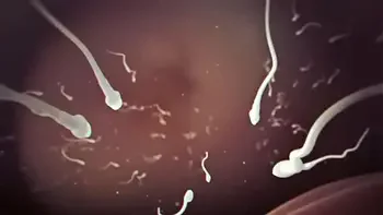 B is for Black Breeding - Porno Music Compilation