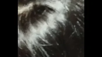 NEW VIDEO ÉGYPTIENNE PORNOSTAR