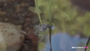 Cum in my Pussy Twice!! Naughty Public Double Creampie for Perfect Young Amateur Babe - Molly Pills - Outdoor POV Fucking 1080p HD