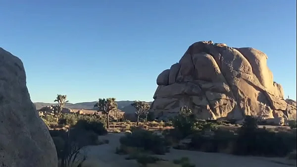 felicity feline rides motorcycle to joshua tree and plays outside