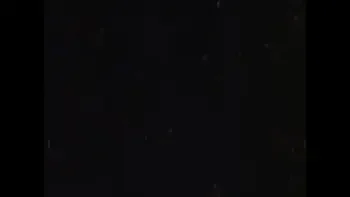 Животные инстинкты 2