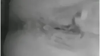 And Squirt! Pornohub