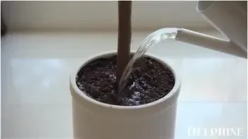 Animals- Horny Teacher Alina Ali Cheats On Her Husband With Her Student 18+