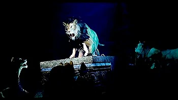 Play With Of The Jungle