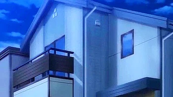 3 Piece The Animation