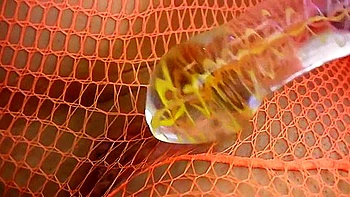 Chloe James - Chloes Masturbate Video