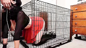 Dumb Bimbo Stepbrother Fucker Anal Toy