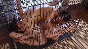 [nash-589] Stepmom Succumbs To Stepsons Training, Strange Sight Of Family Fucking! 4 Women 4 Hours