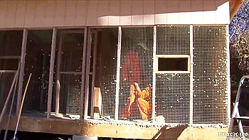 Incredible Porn Video Hd New , Watch It