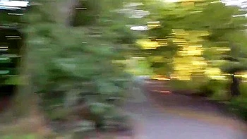 Petite Amie Amateur Fait Une Pipe Risquee Dans Un Parc