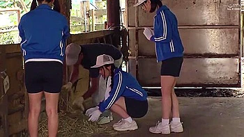 [piyo-127] Young Hotties Only. (extracurricular Studies At An All-girls School) These Innocent Y********ls Are Getting Fucked During A Work Experience Session! Scene 2