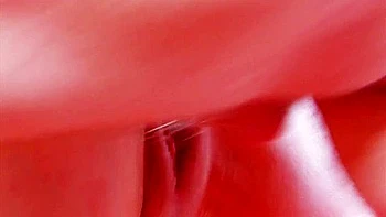 Photoshoot With Best Friends Horny Babe In Black Corsage Getting A Dick In Her Mouth And Anus