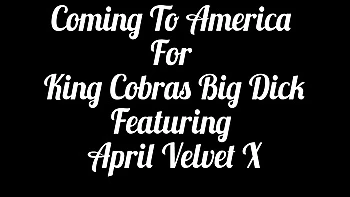 Sexy Thick And Sexy King In Coming To America For King Cobras Big Dick: Thick Sexy Uk Slut Wants Us