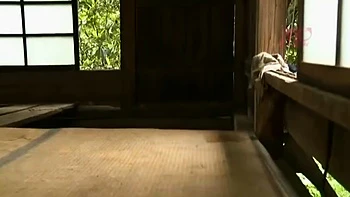 ZOH664-WQZWKNNSYR343366998