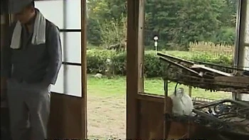 YVD164-NYEJDIXIAF915475981