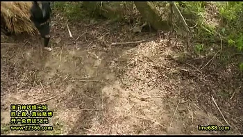 ITG697-TNNAJRPVLQ217500977