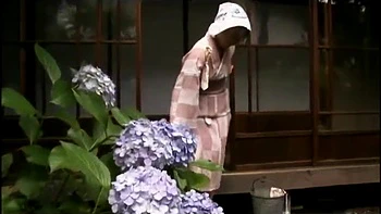 VYU587-WGUJWXERIF518049071