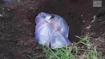 XCD769-RMVTSSNBQM245161890