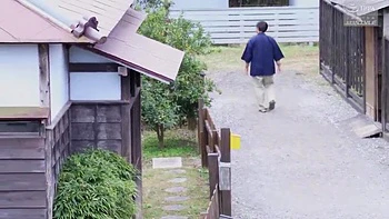 CZM489-VLSWVJTTSW916116166