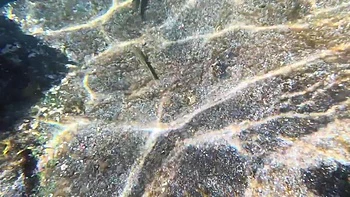 The croupier treats her customers - Jacquie et Michel TV