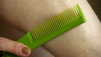 Ana Molly plays with her bush