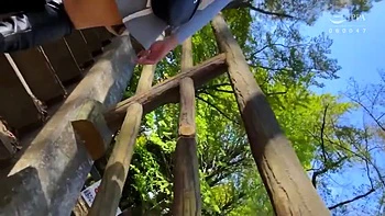 x3xDE695FCA825CBB36CB