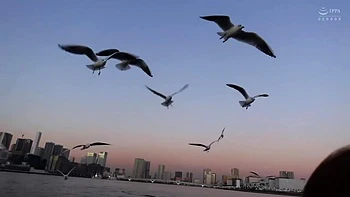 0012471_ニーハイブーツ エッチ 種付けなどが含まれている