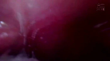 x1x884CAC2BE9FC4BC907