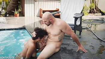 Black fanass: Blowjob, Doggy  Cowgirl Porn