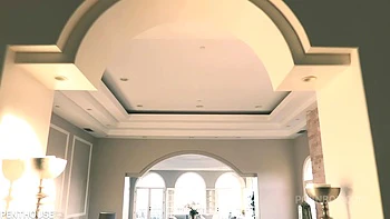 Pet of the Month February 2017