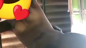 Stepsister And Stepbrother Fuck Tamil