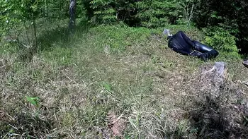 Outdoor hogtie in hot summer day.