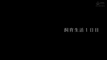 RFUXGVEWSSLSJMBKYCm47REAL931