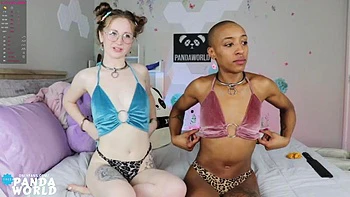 Wopa: Babe, Brunette  Chaturbate Porn