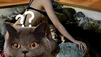 PoppaChan – Ellen Joe