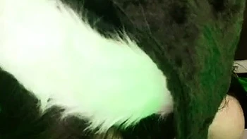 Usatame – Shego Xmas (Video)