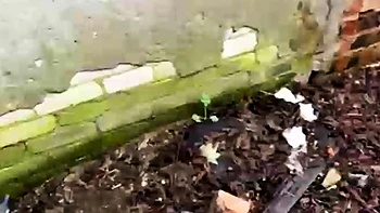 Hot Russian slut gets big facial after hard outdoor pounding