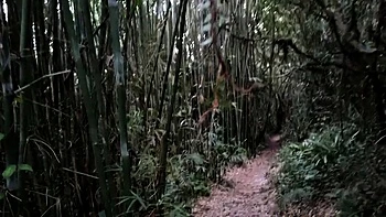 Public Forest Walk, Masturbating and Naked on Webcam