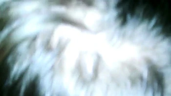 British Amateur Sucks My BBC