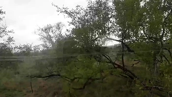 Super Tight Ebony Pussy Pounded By BWC