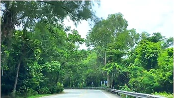 Lonelymeow Mia In Lonely Bunny! Enjoy Guys And Thanks For Follow Me!