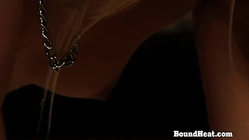 Amorous Cayla's pornstar trailer