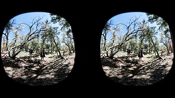 Leya Falcon and Amethyst Aura - Forest Foreplay