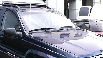 Sondra Hall's shaved clip by Titopia